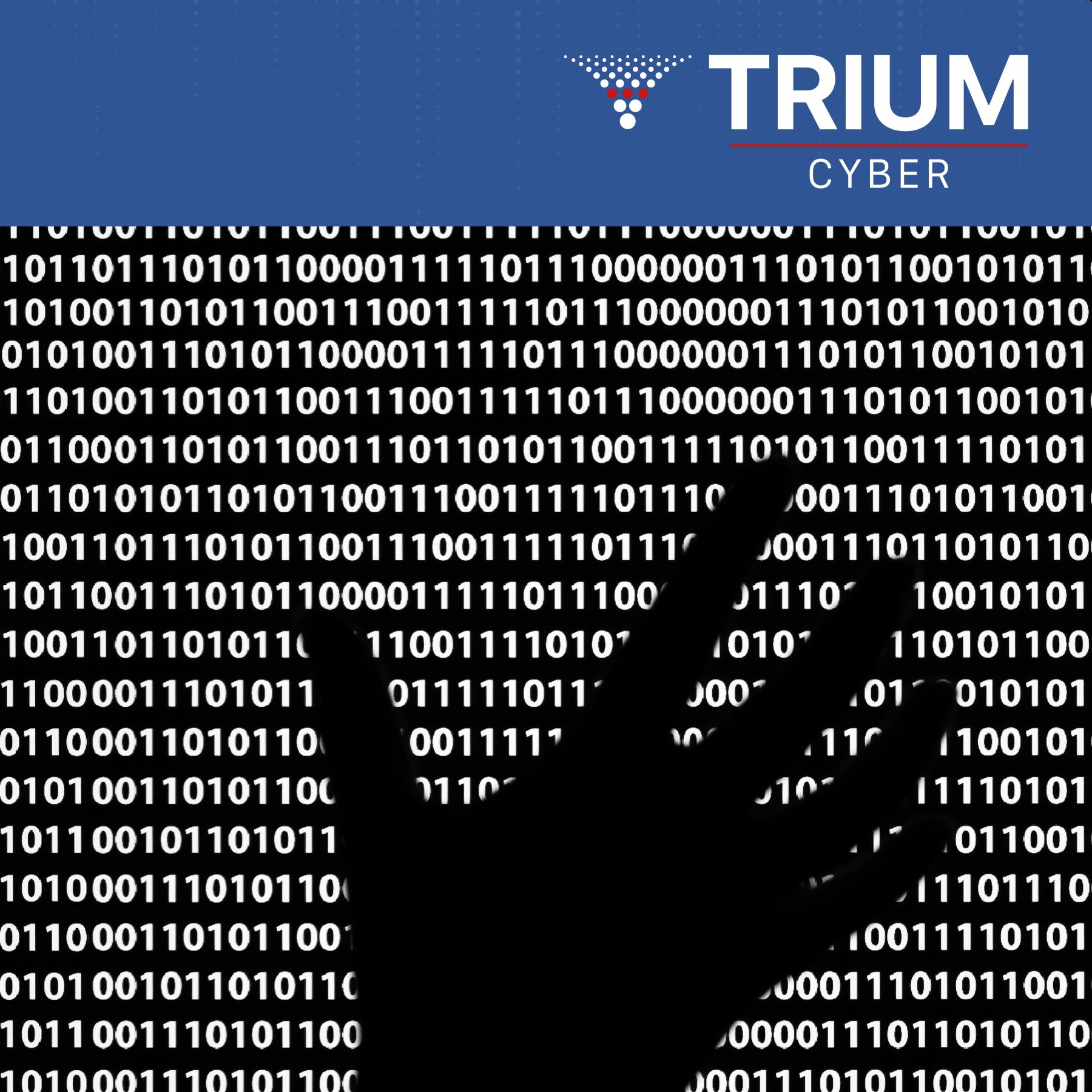 INFOSTEALER MALWARE: the theft that keeps taking 